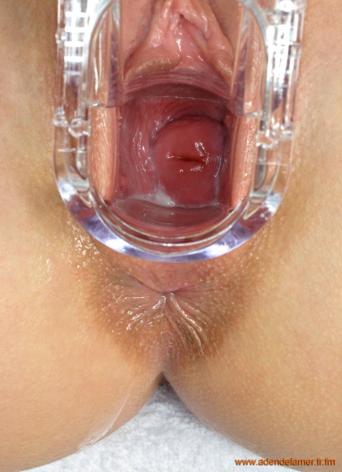 Хентай оплодотворение XRAY creampie